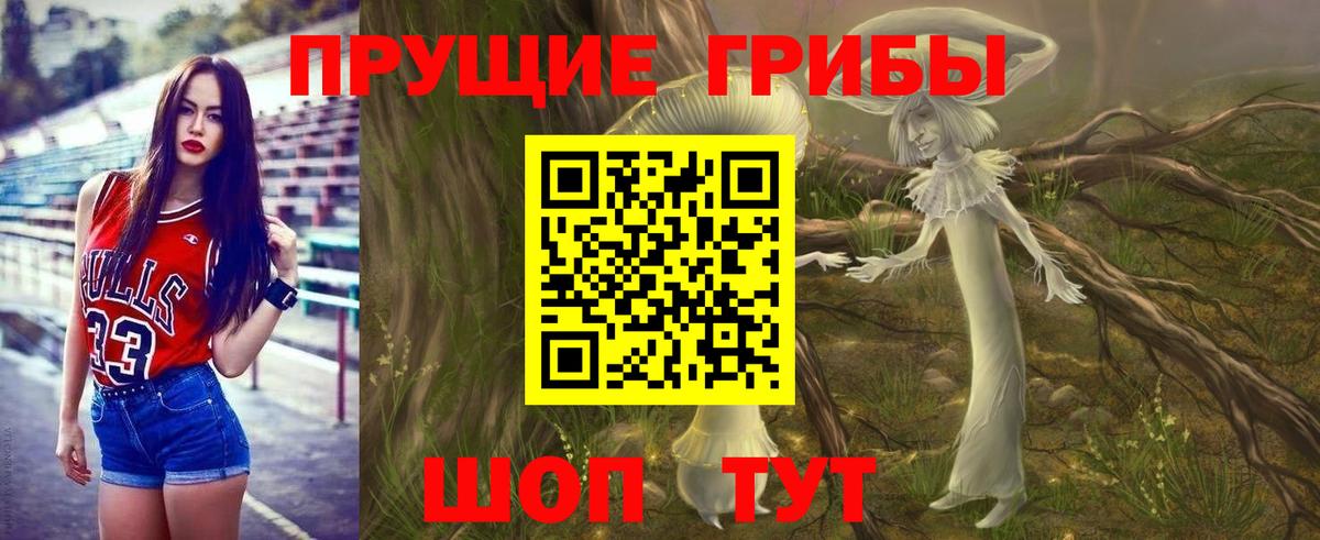 Галлюциногенные грибы GOLDEN TEACHER Кохма