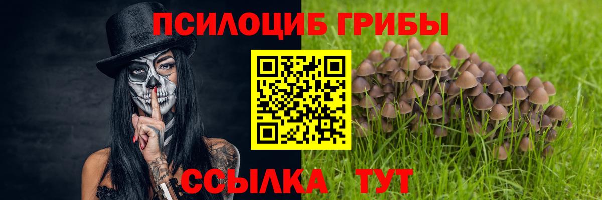 Кохма  Галлюциногенные грибы ЛСД  Вход с VPN  Галлюциногенные грибы Magic Shrooms 